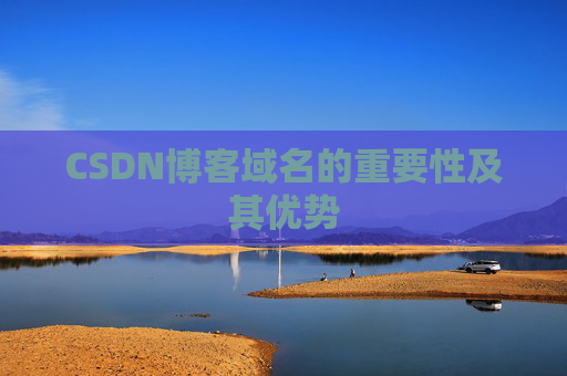 CSDN博客域名的重要性及其优势